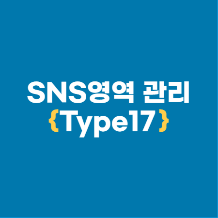 SNS 관리-Type17